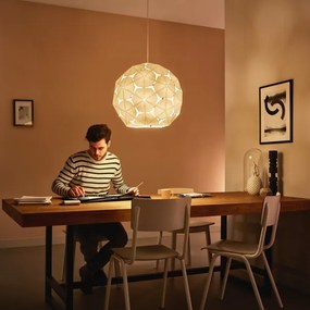 Philips 40914/21/PN - Lampada a sospensione MYLIVING CORKWOOD E27/60W/230V