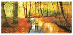 Stampa su legno River In Forest, multicolore 50 x 110 cm