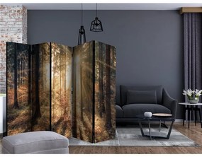 Paravento Autumnal Forest II [Room Dividers]