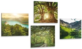 Set di quadri – Splendida natura verde