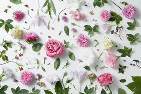 Carta da parati – Natura morta delicata di fiori