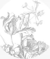 KEK Amsterdam Carta da parati panoramica Engraved Flowers 4 Circle - L - 2.375m