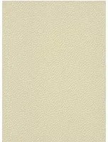 Paint & Paper Library Carta da parati Seedpod - Willow 5