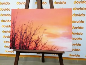Quadro su tela – Cielo colorato