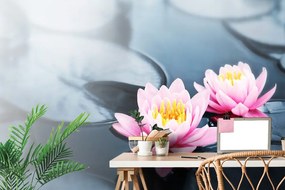 Carta da parati – Fiore di loto nel lago
