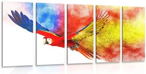 Quadri 5 pezzi – Volo di pappagallo