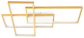 Aigostar - Plafoniera LED dimmerabile LED/38W/230V 2700-6500K + +TC