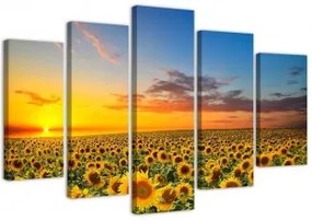 Quadri Quadro 5 pezzi Stampa su tela Girasoli al tramonto 100x70
