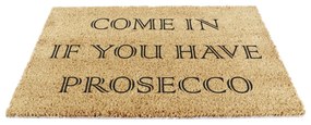 Zerbino in cocco 40x60 cm Prosecco - Artsy Doormats