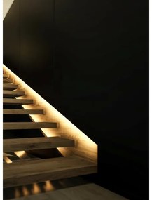 Eglo 97927 - Striscia LED RGB dimmerabile FLEX LED/10W/230V IP20 2m