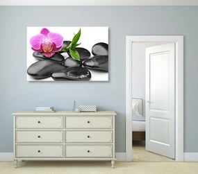 Quadro su tela – Pietre per il benessere massaggio