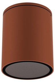 Applique da soffitto Cilindrica PAR30 IP54 in Alluminio e Vetro - Corten