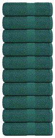 Asciugamani Per Sapone 10 Pz Verde 30x30cm 360g/m² 100% Cotone /