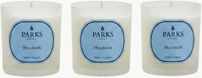 Set di 3 candele profumate fatte a mano Vintage Aromatherapy (giacinto, fiori verdi e muschio bianco)