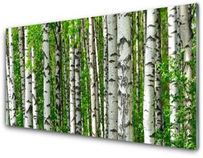 Quadro su vetro acrilico Foresta, piante, natura 100x50 cm