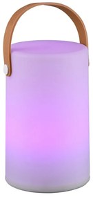 Apparecchio solare a LED per esterni con telecomando (altezza 21 cm) Aruba - Trio