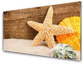 Quadro in vetro acrilico Arte della stella marina di sabbia 100x50 cm