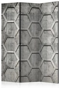 Paravento  Platinum cubes [Room Dividers]  Colore ---, Dimensioni e Misure 135x172