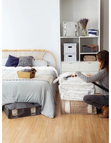 Scatole di cartone con coperchio in set da 2 pezzi Stripes - Compactor