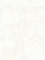 Cow Parsley - Designtapete von Cole & Son - White on White