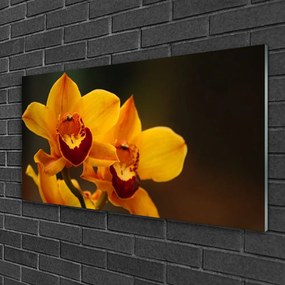 Quadro in vetro Pianta di fiori 100x50 cm
