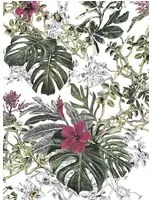 Sian Zeng Tapete Summer Tropical Bloom