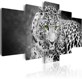 Quadro Leopardo  bianco e nero  Colore bianco e nero, Dimensioni e Misure 200x100