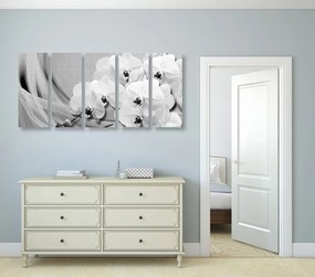 Quadri 5 pezzi – Orchidea su tela in bianco e nero