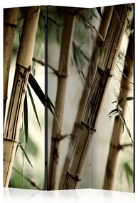 Paravento Fog and bamboo forest [Room Dividers]