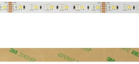 Striscia LED Professional - RGB + CCT (bianco Variabile)  - IP20 - 20W/m - 5m - 24V Colore RGB+CCT