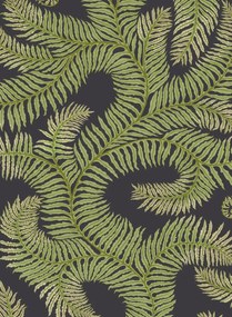 Josephine Munsey Carta da parati Bombes Fernery - Dark Grey/ Green