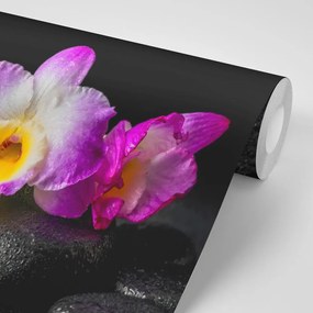 Carta da parati autoadesiva – Orchidea su pietre Zen
