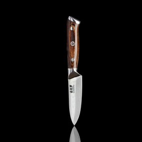 Gudaro - Coltello da cucina in acciaio damascato FENG 3,5", 67 strati d'acciaio, lunghezza 9,5 cm