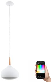 Eglo 97087 - Lampada sospesa dimmerabile LED RGBW COMBA-C 1x18W/230V
