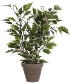 Pianta Decorativa Mica Decorations 4 x 11,5 cm Ceramica PVC Ficus