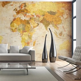 Fotomurale  Old globe  Colore Beige, Dimensioni e Misure 450x270