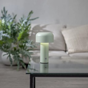 Lampada da tavolo LED verde (altezza totale 21,5 cm) Bobby – Star Trading