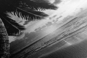 Stampa su tela – Alba sulla spiaggia caraibica in bianco e nero