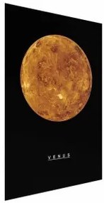 Poster - Venus Senza cornice 21x30