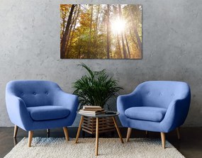 Quadro su tela – Foresta nei colori autunnali