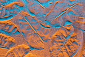 Carta da parati – Texture foglie su spiaggia sabbiosa