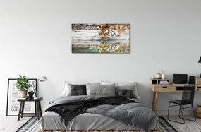 Quadro acrilico Bere tigre 100x50 cm