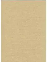 Nobilis Carta da parati Seta - STA24