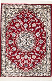 Nain Tappeto 80x110 (Iran) Annodato A Mano