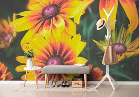 Carta da parati – Fiori bicolori