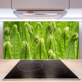 Pannello paraschizzi cucina Pianta della natura 100x50 cm