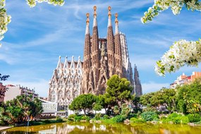 Stampa su tela – Cattedrale di Barcellona