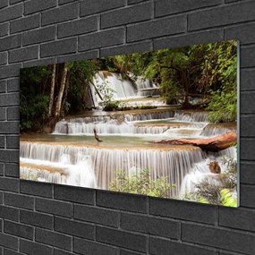 Quadro vetro Cascata Foresta Natura 100x50 cm