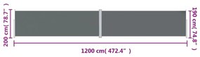 Tenda da Sole Laterale Retrattile Antracite 200x1200 cm