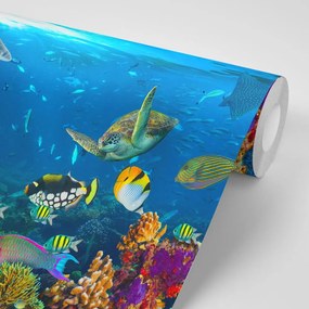 Carta da parati – Mondo Sottomarino